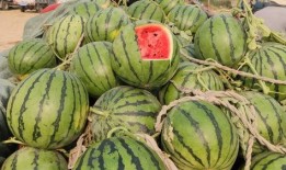 聊城大瓜爆料视频最新,揭秘惊人内幕，真相令人震惊！